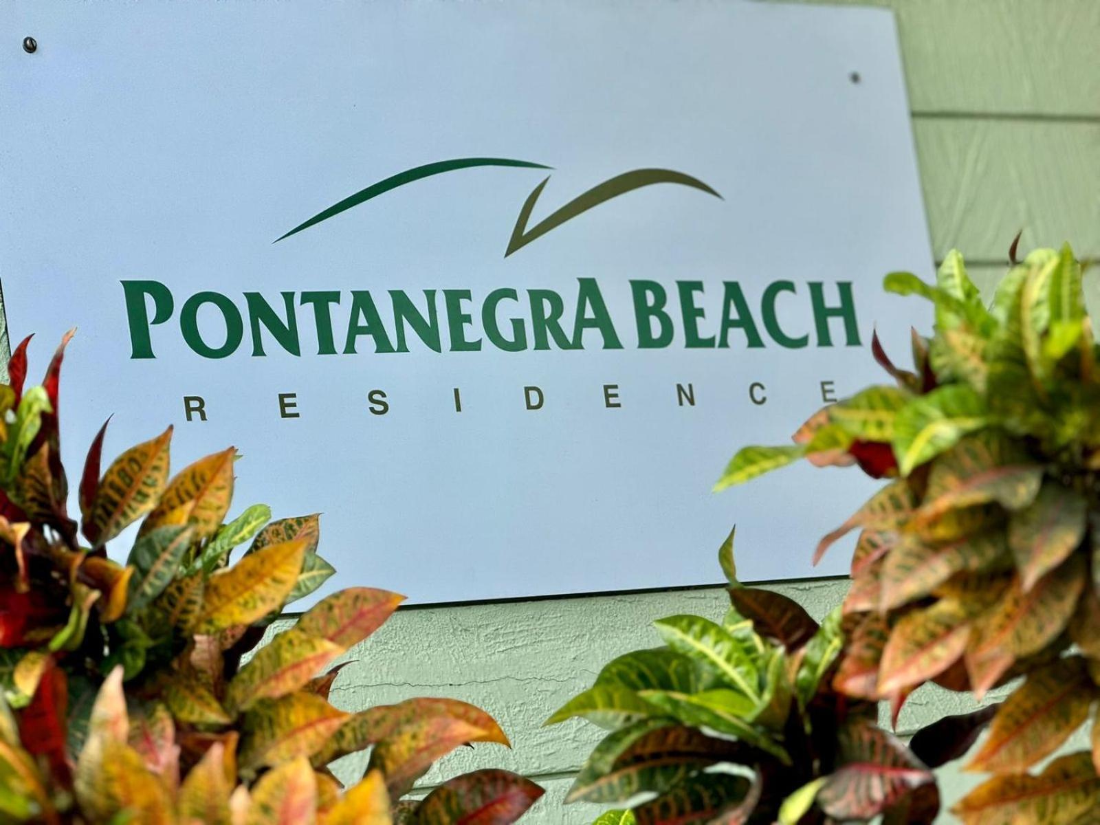 Edy Hospedagens Beira-Mar Flat 310 Com Vista Para O Morro Do Careca, Piscina E Localizacao Privilegiada Natal Exteriör bild